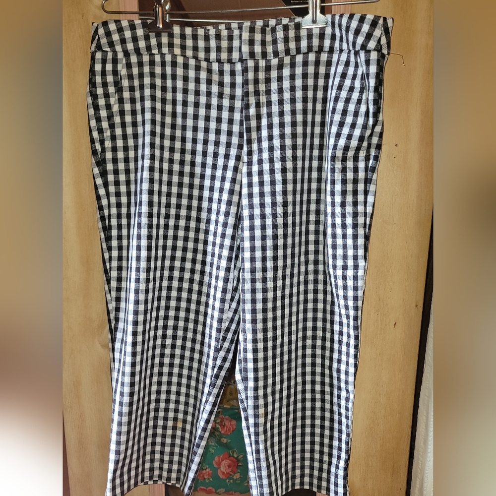 Cute pair women's checkered Capri by Time & Tru size 12